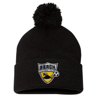 Pom Pom Knit Cap