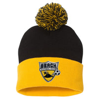 Pom Pom Knit Cap